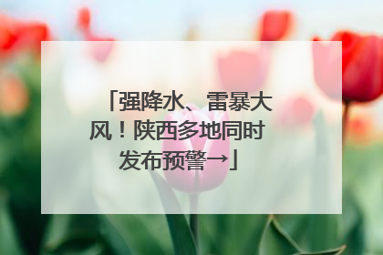 强降水、雷暴大风！陕西多地同时发布预警→