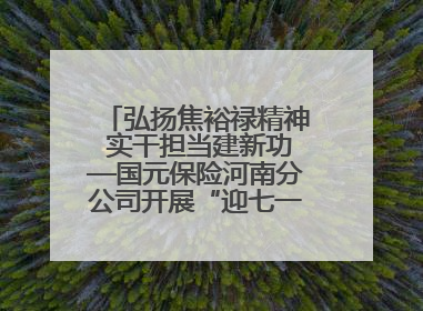 弘扬焦裕禄精神 实干担当建新功—国元保险河南分公司开展“迎七一”主题党日活动