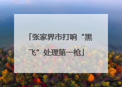张家界市打响“黑飞”处理第一枪