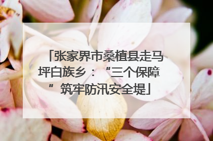 张家界市桑植县走马坪白族乡：“三个保障”筑牢防汛安全堤