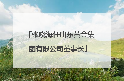 张晓海任山东黄金集团有限公司董事长