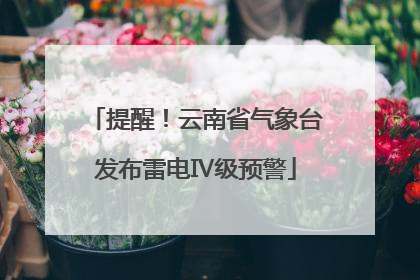 提醒！云南省气象台发布雷电Ⅳ级预警