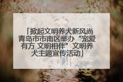 掀起文明养犬新风尚 青岛市市南区举办“宠爱有方 文明相伴”文明养犬主题宣传活动