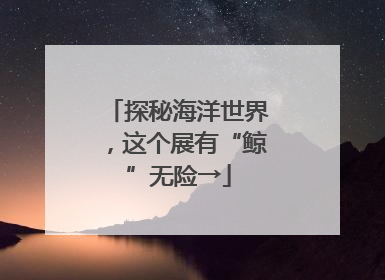 探秘海洋世界，这个展有“鲸”无险→