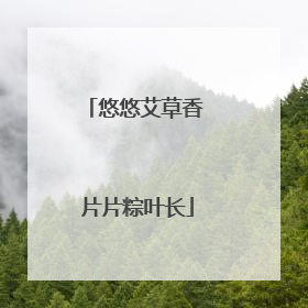 悠悠艾草香 片片粽叶长