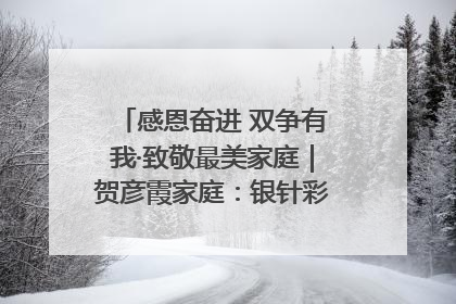 感恩奋进 双争有我·致敬最美家庭｜贺彦霞家庭：银针彩线绣出好日子