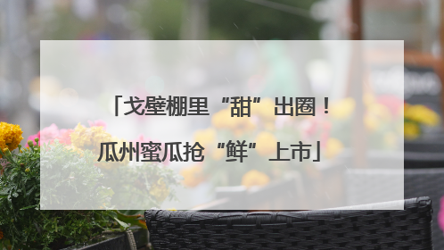 戈壁棚里“甜”出圈！瓜州蜜瓜抢“鲜”上市
