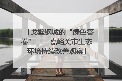 戈壁钢城的“绿色答卷”——嘉峪关市生态环境持续改善观察