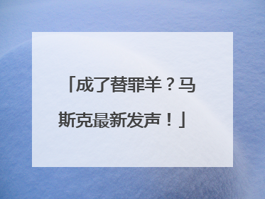 成了替罪羊？马斯克最新发声！