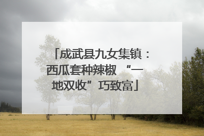 成武县九女集镇：西瓜套种辣椒 “一地双收”巧致富