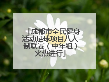 成都市全民健身活动足球项目八人制联赛（中年组）火热进行