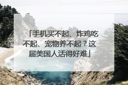 手机买不起、炸鸡吃不起、宠物养不起？这届美国人活得好难