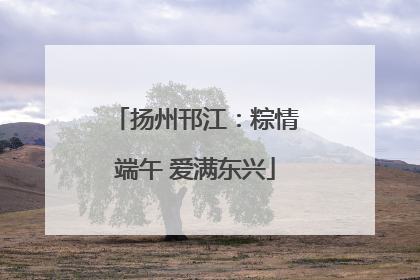 扬州邗江：粽情端午 爱满东兴