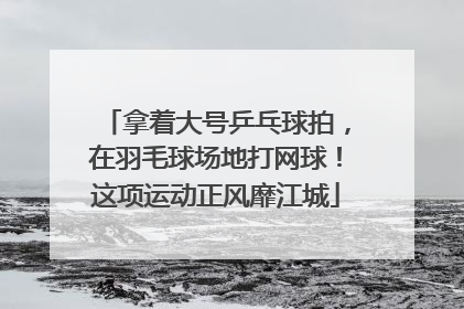 拿着大号乒乓球拍，在羽毛球场地打网球！这项运动正风靡江城