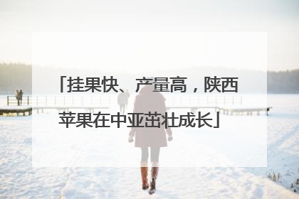 挂果快、产量高，陕西苹果在中亚茁壮成长