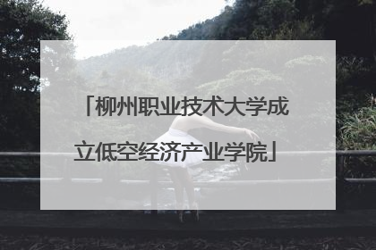 柳州职业技术大学成立低空经济产业学院