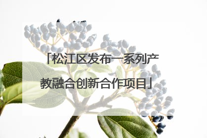 松江区发布一系列产教融合创新合作项目