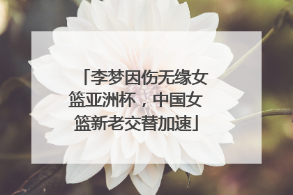 李梦因伤无缘女篮亚洲杯，中国女篮新老交替加速