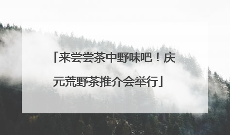 来尝尝茶中野味吧！庆元荒野茶推介会举行