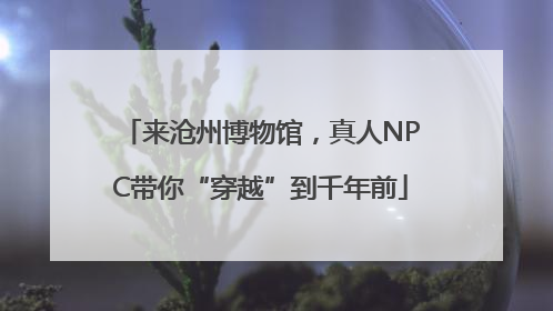 来沧州博物馆，真人NPC带你“穿越”到千年前