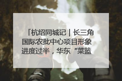 杭绍同城记｜长三角国际农批中心项目形象进度过半，华东“菜篮子”建设加码提速！