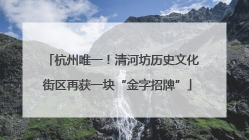 杭州唯一！清河坊历史文化街区再获一块“金字招牌”