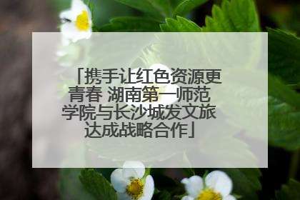 携手让红色资源更青春 湖南第一师范学院与长沙城发文旅达成战略合作