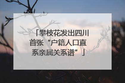 攀枝花发出四川首张“户籍人口直系亲属关系谱”