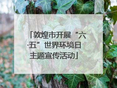 敦煌市开展“六·五”世界环境日主题宣传活动