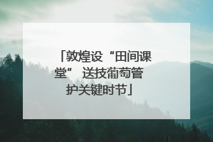 敦煌设“田间课堂” 送技葡萄管护关键时节