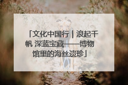 文化中国行｜浪起千帆 深蓝宝藏——博物馆里的海丝遗珍