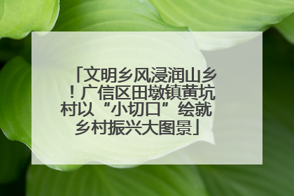 文明乡风浸润山乡！广信区田墩镇黄坑村以“小切口”绘就乡村振兴大图景