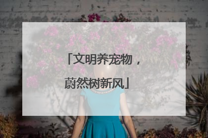 文明养宠物，蔚然树新风