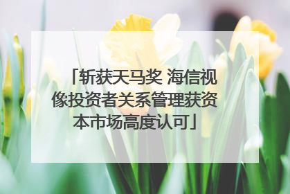 斩获天马奖 海信视像投资者关系管理获资本市场高度认可
