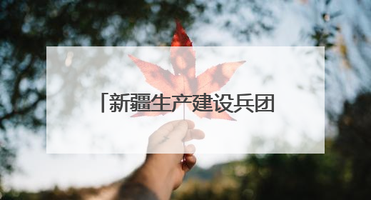 新疆生产建设兵团第九师白杨市164团金玉镇综治中心：“四维治理”淬炼边疆“枫桥样本”