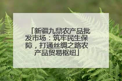 新疆九鼎农产品批发市场：筑牢民生保障，打通丝绸之路农产品贸易枢纽