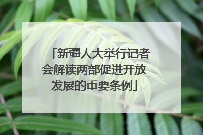 新疆人大举行记者会解读两部促进开放发展的重要条例