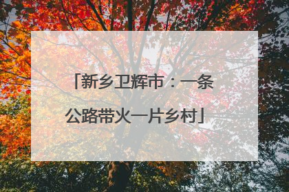 新乡卫辉市：一条公路带火一片乡村