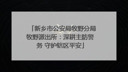 新乡市公安局牧野分局牧野派出所：深耕主防警务 守护辖区平安