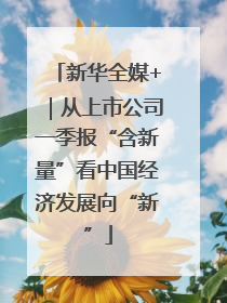 新华全媒+｜从上市公司一季报“含新量”看中国经济发展向“新”