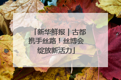 新华鲜报｜古都携手丝路！丝博会绽放新活力