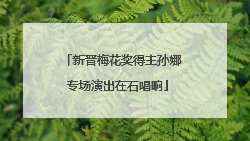 新晋梅花奖得主孙娜专场演出在石唱响