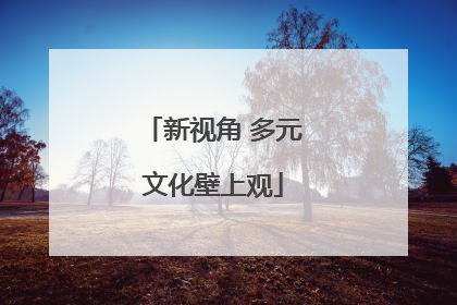 新视角 多元文化壁上观