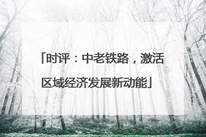 时评：中老铁路，激活区域经济发展新动能