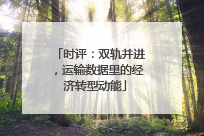 时评：双轨并进，运输数据里的经济转型动能