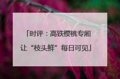 时评：高铁樱桃专厢 让“枝头鲜”每日可见