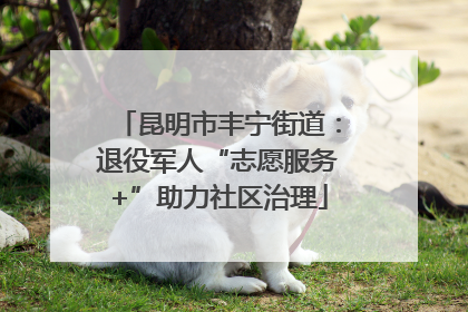 昆明市丰宁街道：退役军人“志愿服务+”助力社区治理