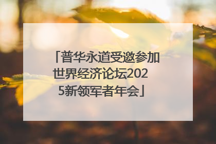 普华永道受邀参加世界经济论坛2025新领军者年会