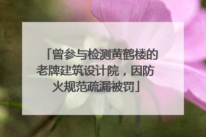 曾参与检测黄鹤楼的老牌建筑设计院，因防火规范疏漏被罚