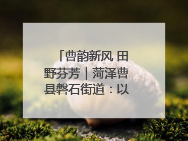 曹韵新风 田野芬芳｜菏泽曹县磐石街道：以歌为媒 唱响乡土“新歌声”